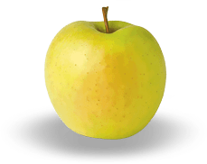 apple oet reete folclorice în varicoza)