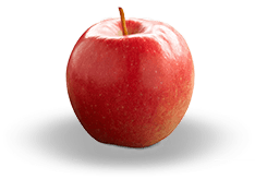 Apple oțet rețete folclorice în varicoză