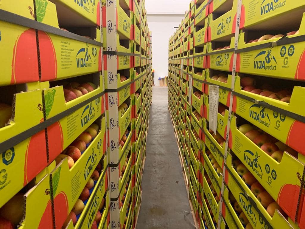 fruits vegetables warehouse