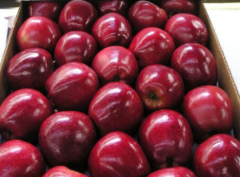 Red delicious