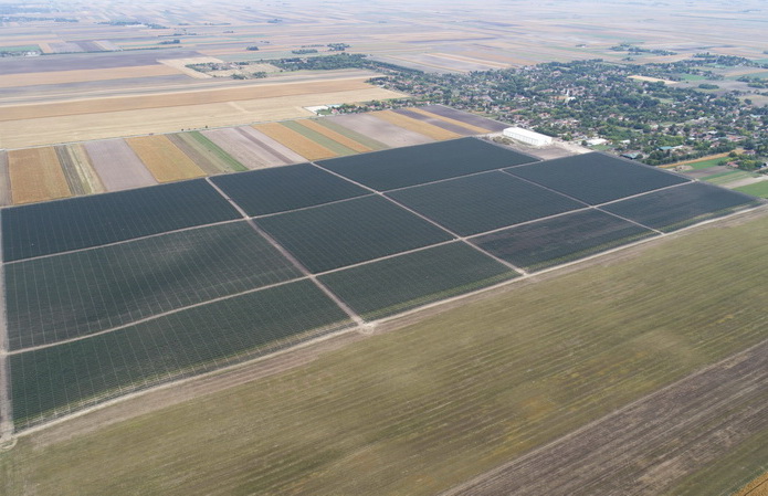 fruit orchard